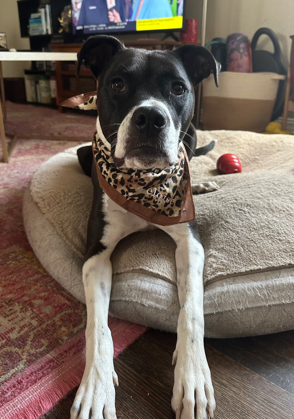 Bandana